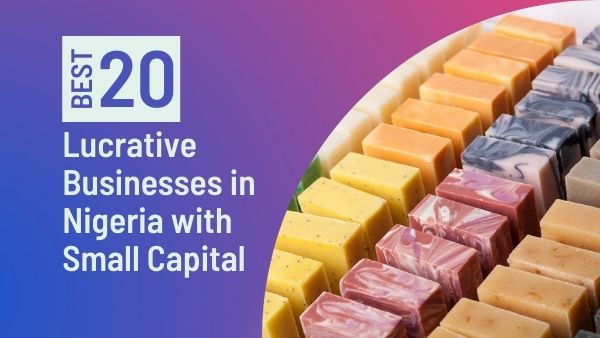 Lucrative Businesses in Nigeria with Small Capital