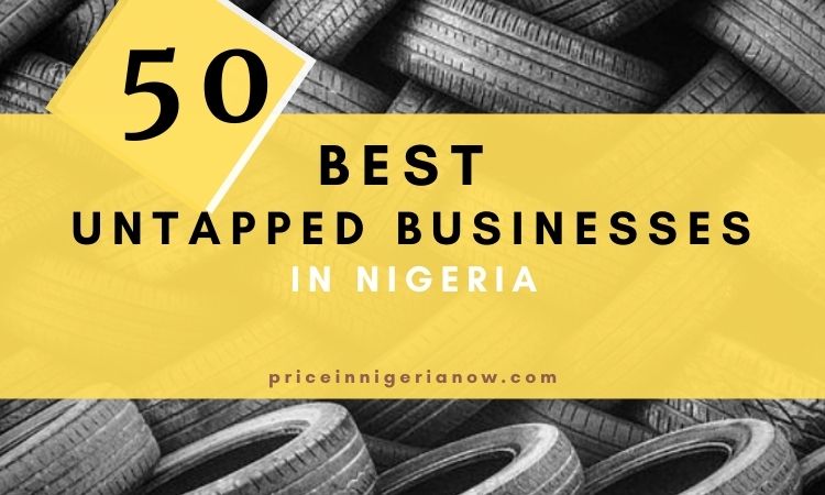 BEST UNTAPPED BUSINESSES IN NIGERIA TO START