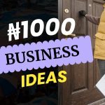 Best ₦1000 Business Ideas in Nigeria
