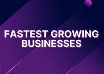10 Fastest Growing Businesses in Nigeria ( For Profit Only)