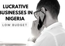 10 Top Lucrative Businesses in Nigeria (Low Budget)