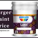 Berger Paint Price in Nigeria