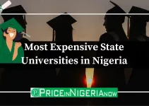 10 Most Expensive State Universities in Nigeria (2023 Picks)